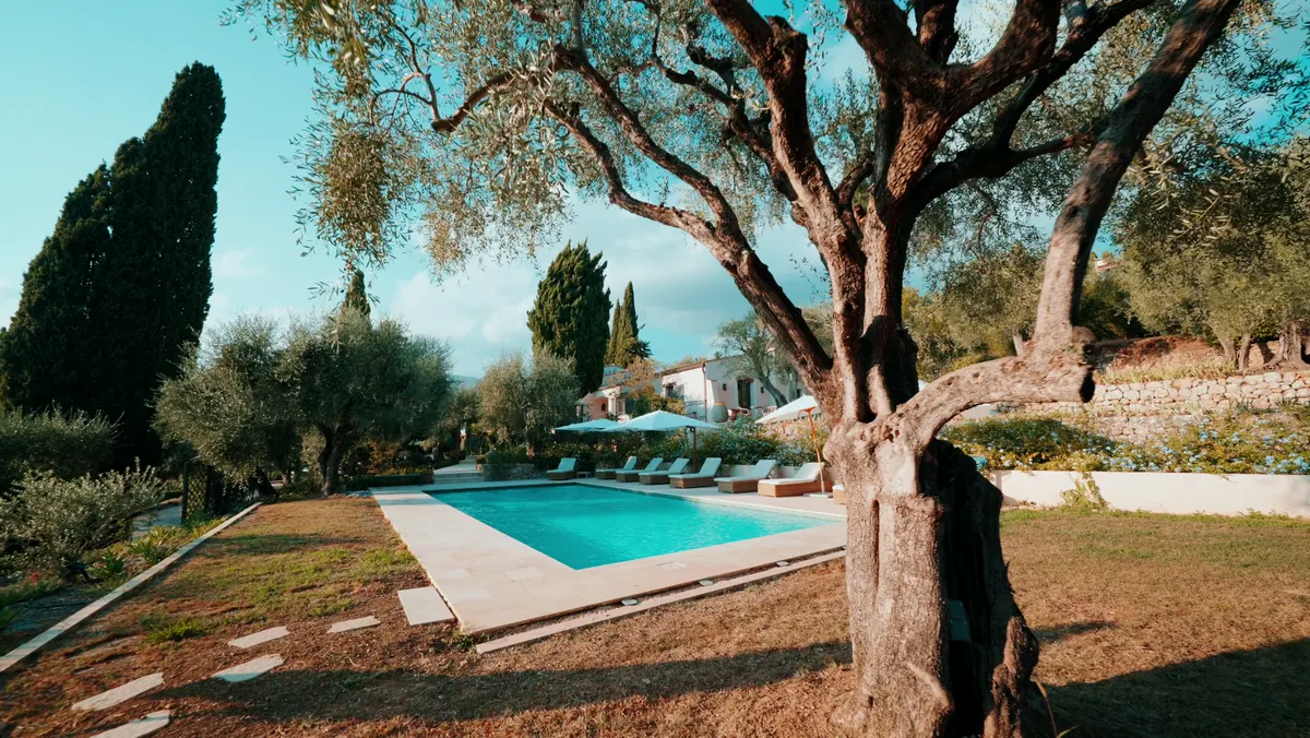 Extérieur · Maison de pierre · Olivier et piscine