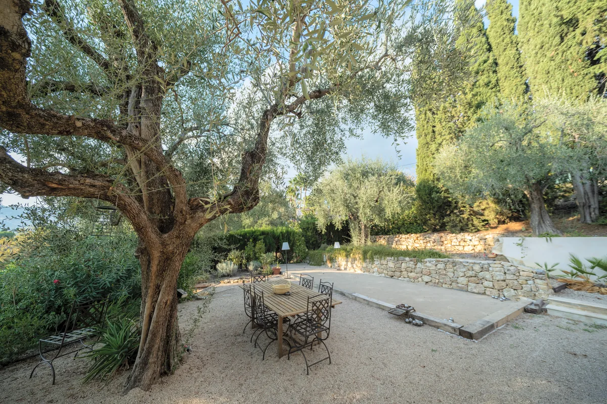 Villa et oliveraie, photographie