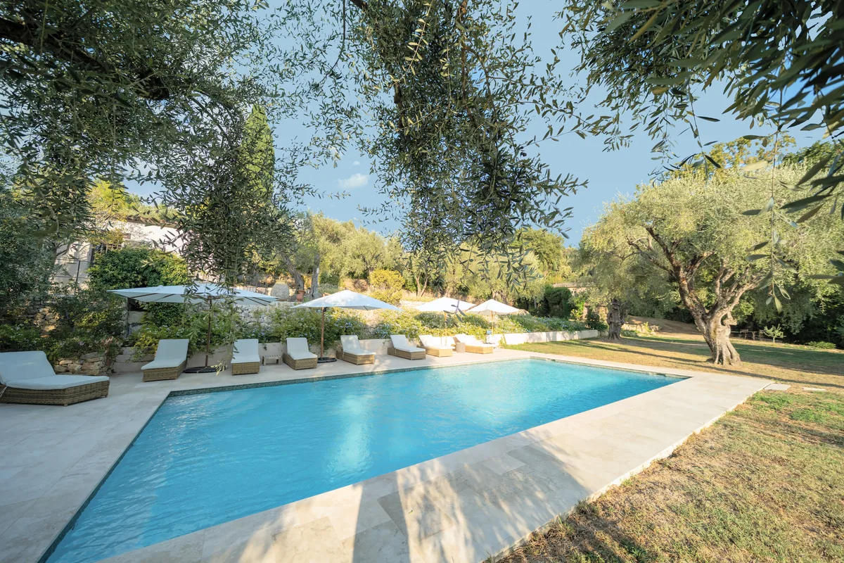 Villa et oliveraie, photographie