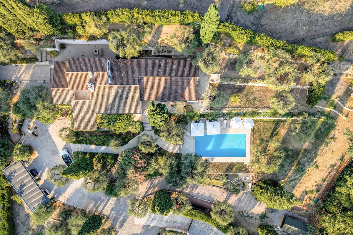 Villa et oliveraie, photographie